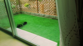 16-06-05-16-34-07-631_deco.jpg