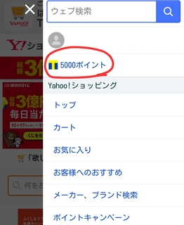 17-10-31-13-22-21-872_deco.jpg