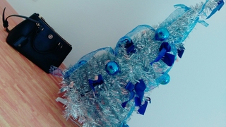 17-12-20-10-23-05-022_deco.jpg
