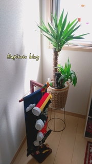 18-04-30-08-40-47-952_deco.jpg