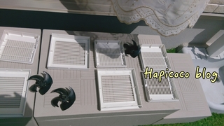18-04-30-08-45-37-540_deco.jpg