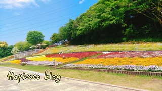 18-05-07-19-08-05-156_deco.jpg