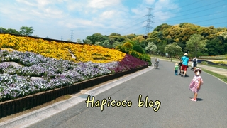 18-05-07-19-10-03-867_deco.jpg