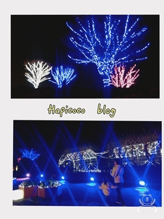 18-12-03-14-40-15-442_deco.jpg