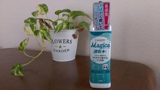 IMAG0755.jpg